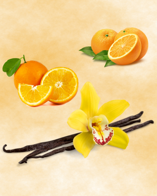 Orange Vanilla Sugar Fragrance Oil For Making Candles, Soaps, & Lotions Orange Vanilla Sugar Fragrance Oil, Candle Making fragrance, Soap Making Fragrance, Candle Aroma, Aroma Oils