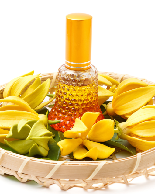 Ylang Ylang - Premium Fine Essential For Candles/Soaps/Lotions Ylang Ylang Essential Oil. Ylang Ylang, Aromatherapy Oils, Essential Oil India