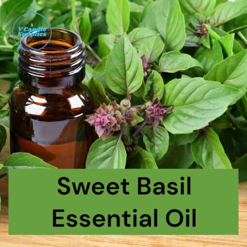 Infuse your creations with the fresh, herbal, and slightly sweet aroma of Sweet Basil Essential Oil. Known for its energizing and uplifting properties, this premium-grade essential oil is perfect for diffusers, candles, soaps, lotions, and cosmetics. Its refreshing scent helps to invigorate the senses and enhance mental clarity, making it an essential addition for both crafting and wellness applications.