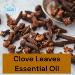 Clove Leaf Essential Oil- Premium Fine Essential Oil For Diffusers, Candle, Cosmetic, Soap, & Lotion