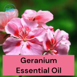 Geranium Essential Oil- Premium Fine Essential Oil For Diffusers, Candle, Cosmetic, Soap, & Lotion