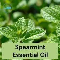 Spearmint Essential Oil- Premium Fine Essential Oil For Diffusers, Candle, Cosmetic, Soap, & Lotion