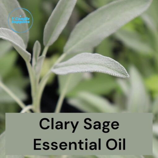 Clary Sage Essential Oil- Premium Fine Essential Oil For Diffusers, Candle, Cosmetic, Soap, & Lotion