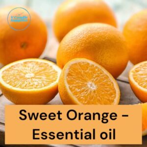 Sweet Orange Essential Oil