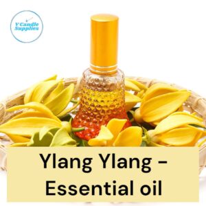 Ylang Ylang Essential Oil