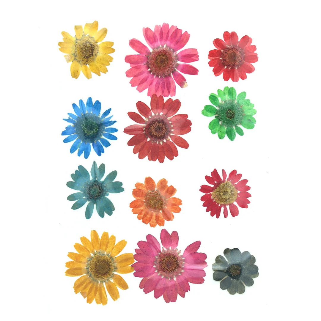 12 In 1 Dried Pressed Flower  | Dried Flower For Candle Making, Bath Salt, Soap, Scented Sachet, Perfumes, and Potpourris By V Candle Supplies
