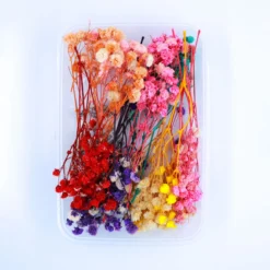 Baby Breath Flower Box Multi Colour | Dried Flower For Candle Making, Bath Salt, Soap, Scented Sachet, Perfumes, and Potpourris By V Candle Supplies