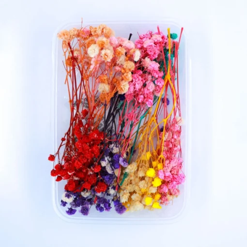 Baby Breath Flower Box Multi Colour | Dried Flower For Candle Making, Bath Salt, Soap, Scented Sachet, Perfumes, and Potpourris By V Candle Supplies